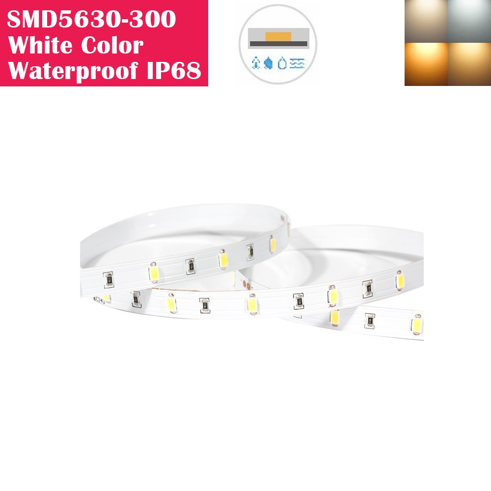 5 Meters SMD5630 Waterproof IP68 300LEDs Flexible LED Strip Lights